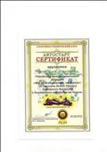 сертификат куратора команды ребят в межрегиональном конкурсе "Мы за безопасность на дороге" (участие) май 2013